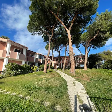 Alisei Holidays 4 Apartment *